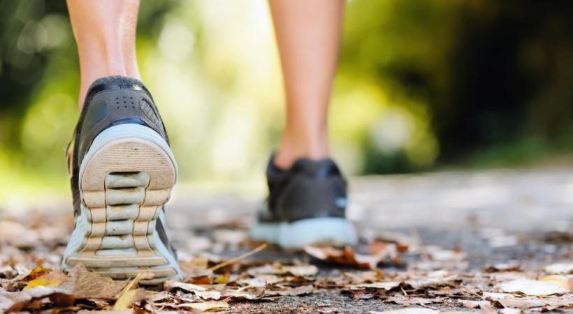 123RF/WARRENGOLDSWAIN