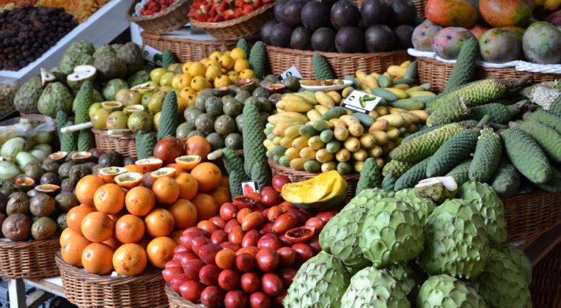 La nature sauvage qui invite à marcher sur les sentiers qui longent les levadas, des petits canaux d’irrigation typiques. OFFICE DU TOURISME MADÈRE Piscine naturelle à Porto Moniz. OFFICE DU TOURISME MADÉRE La rue Santa Maria à Funchal est célèbre pour ses portes peintes. FLORENT SOLAISE 