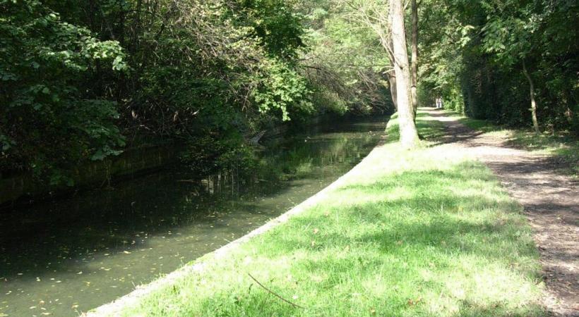 WIKIPéDIA/PAR ALBINS —  CC BY-SA